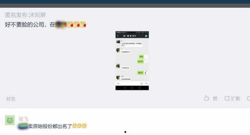 独家爆料是什么意思,揭开神秘事件的背后真相