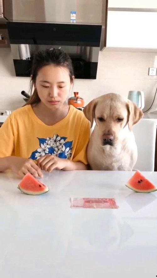 吃瓜视频每日大赛