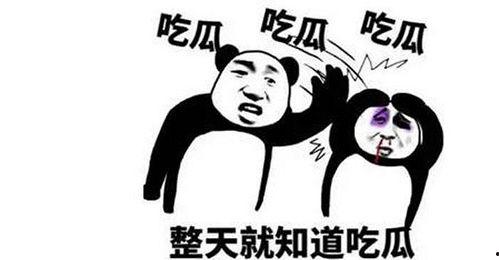 热点吃瓜,吃瓜群众如何解读明星事件