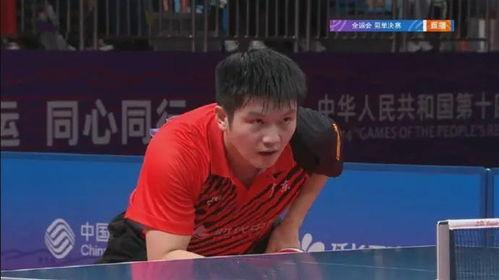 a圈惊天大瓜 体育界饭圈文化,饭圈文化的崛起与影响