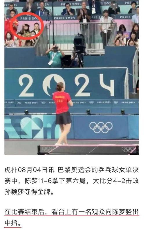 体育界饭圈文化,激情与理性的交织